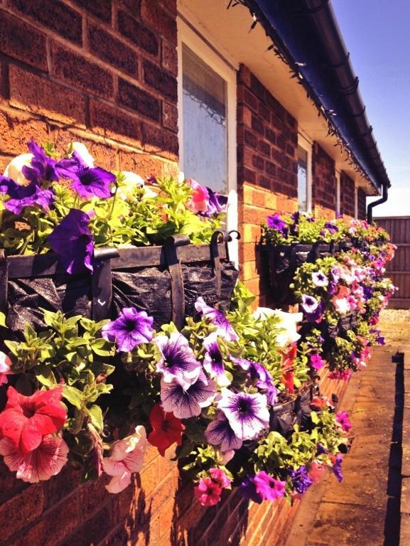 The Waverley Hotel Crewe Esterno foto